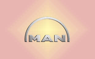 ✓ MAN 51.01108.0098 Запчасти МАН (MAN) 